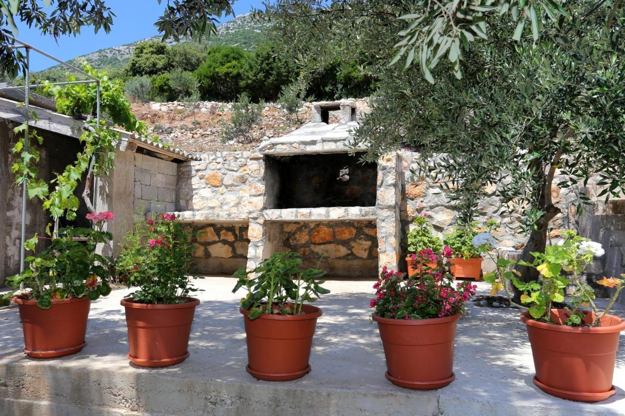 Apartments By The Sea Dingac - Potocine, Peljesac - 4533 Potomje Buitenkant foto